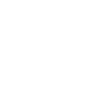 Twhv Logo Secondary White